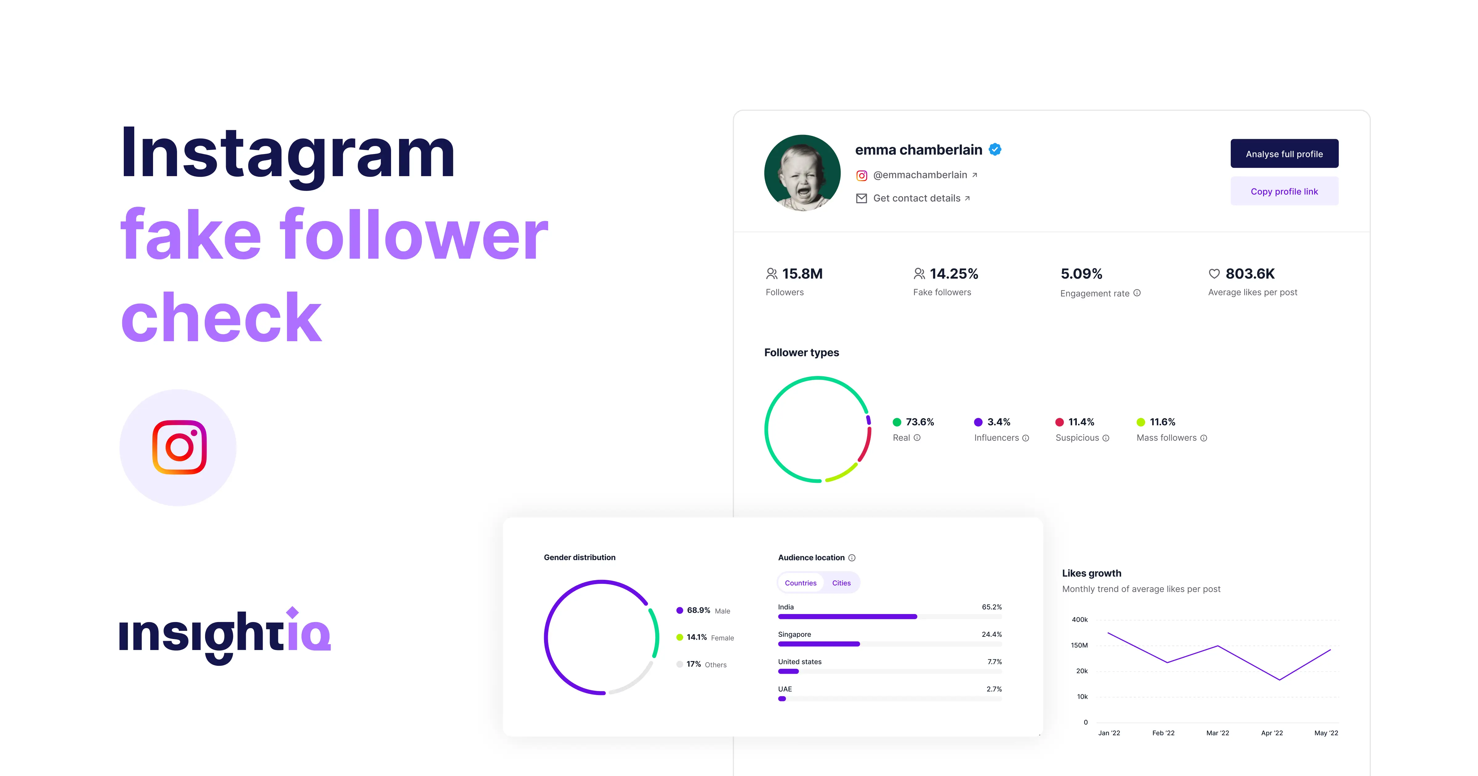 Instagram Fake Follower Check